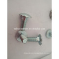 Chinese manufacture carriage bolt washer, carriage bolt washer high quality